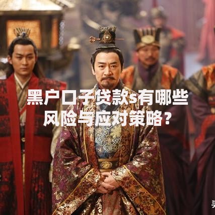 黑户口子贷款s有哪些风险与应对策略？