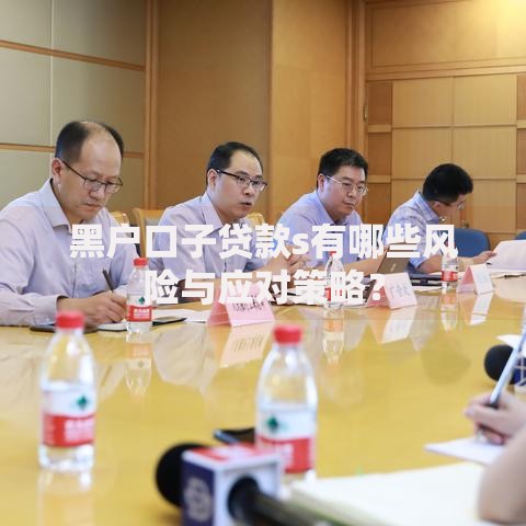 黑户口子贷款s有哪些风险与应对策略？