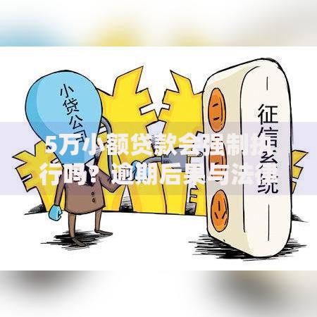 5万小额贷款会强制执行吗？逾期后果与法律解析