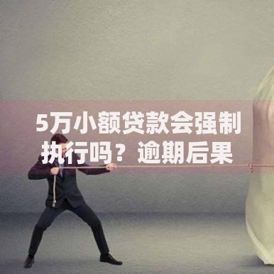 5万小额贷款会强制执行吗？逾期后果与法律解析