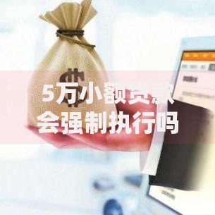 5万小额贷款会强制执行吗？逾期后果与法律解析