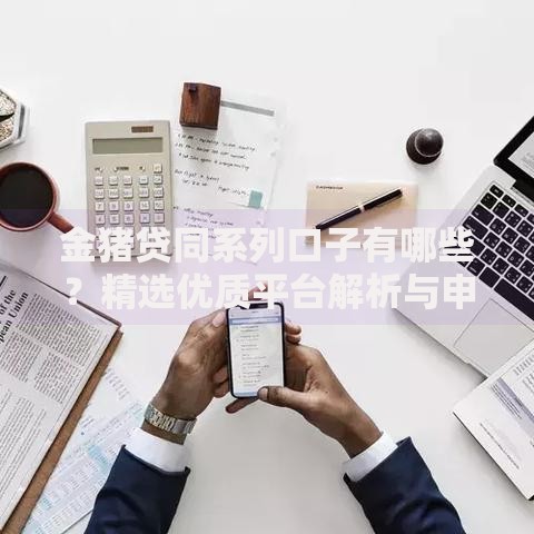 金猪贷同系列口子有哪些？精选优质平台解析与申请指南