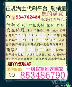 我哪些无视黑户下款口子可靠？深度揭秘贷款渠道