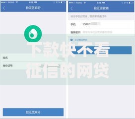 下款快不看征信的网贷2025：哪些平台能秒批？