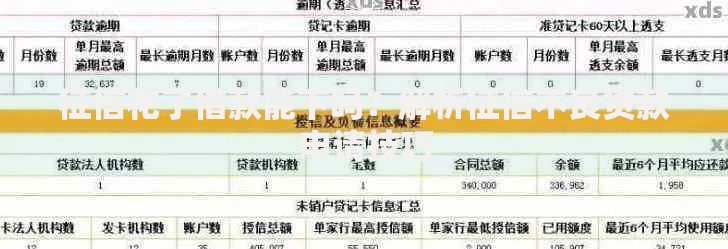 征信花了借款能下吗？解析征信不良贷款申请技巧