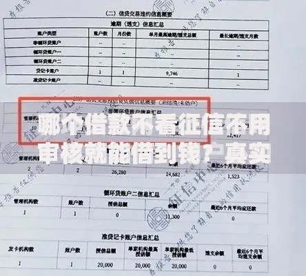 哪个借款不看征信不用审核就能借到钱？真实渠道深度解析