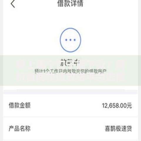 晚上哪个口子能下款？解析夜间快速放贷平台选择技巧