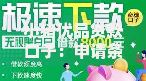 小猪优品贷款口子：申请条件与流程全解析