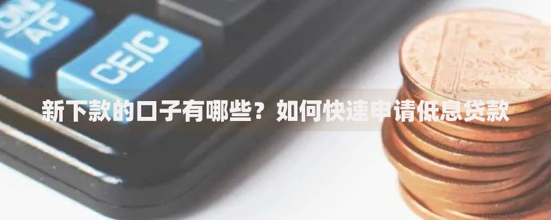 新下款的口子有哪些？如何快速申请低息贷款