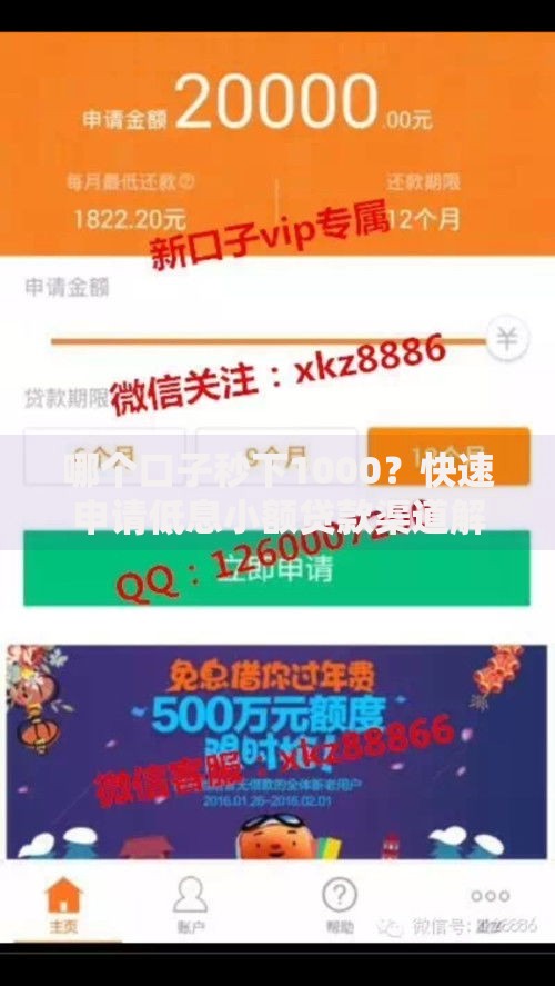 哪个口子秒下1000?快速申请低息小额贷款渠道解析 哪个口子秒下1000?快速申请低息小额贷款渠道解析