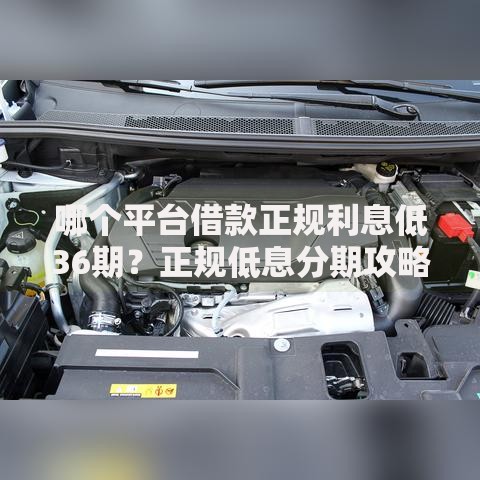 哪个平台借款正规利息低36期？正规低息分期攻略