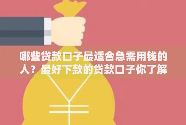 哪些贷款口子最适合急需用钱的人？最好下款的贷款口子你了解多少？