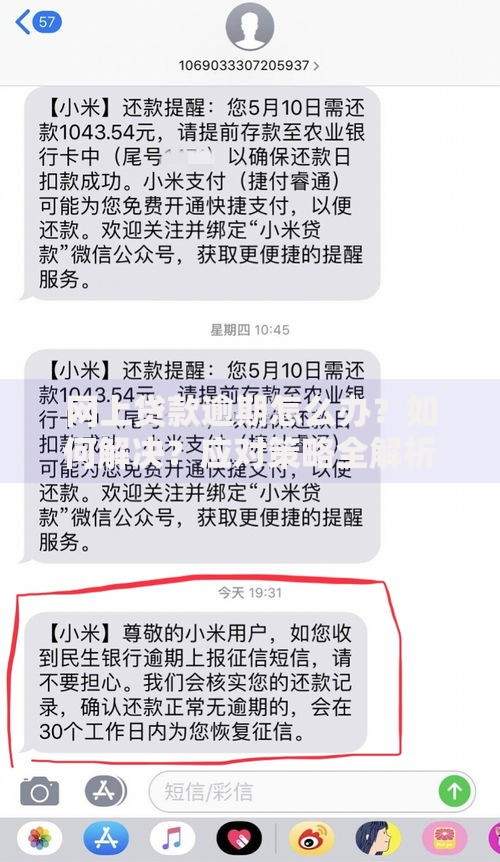 网上贷款逾期怎么办？如何解决？应对策略全解析