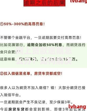 网上贷款逾期怎么办？如何解决？应对策略全解析