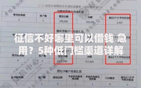 征信不好哪里可以借钱 急用？5种低门槛渠道详解