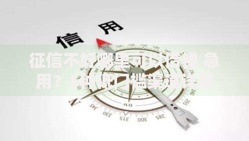 征信不好哪里可以借钱 急用？5种低门槛渠道详解