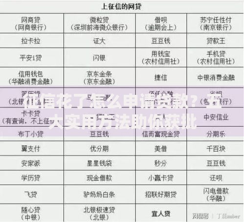 征信花了怎么申请贷款？五大实用方法助你获批