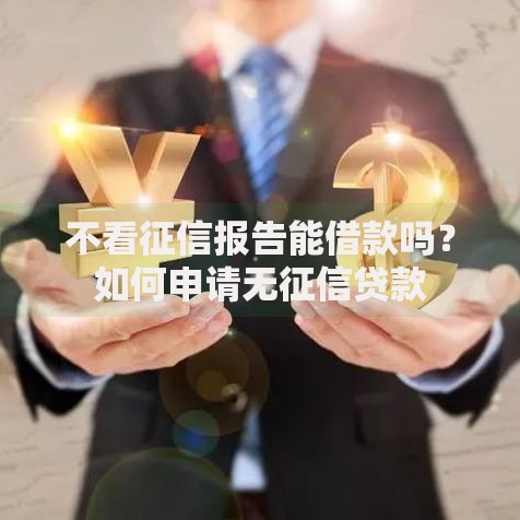 不看征信报告能借款吗？如何申请无征信贷款