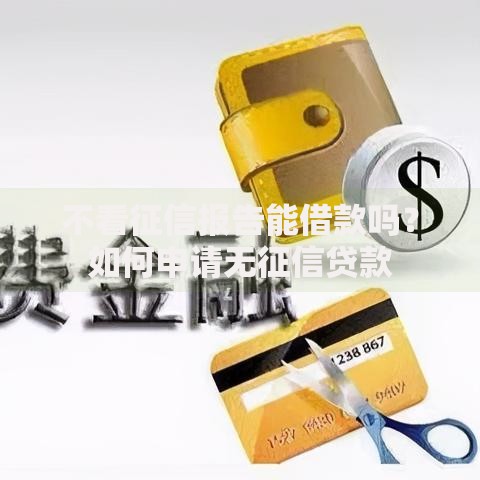 不看征信报告能借款吗？如何申请无征信贷款