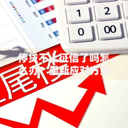 停贷不上征信了吗怎么办？最新应对方案深度解析