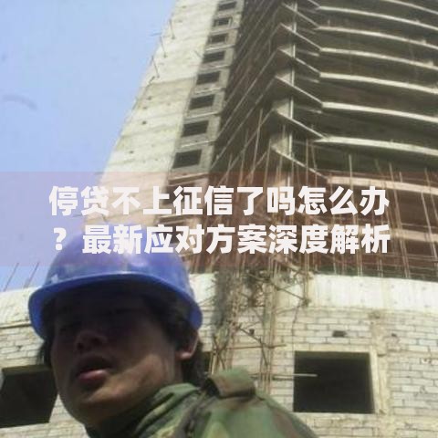 停贷不上征信了吗怎么办？最新应对方案深度解析
