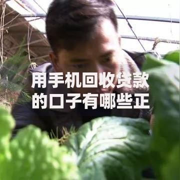 用手机回收贷款的口子有哪些正规平台？申请流程与风险解析