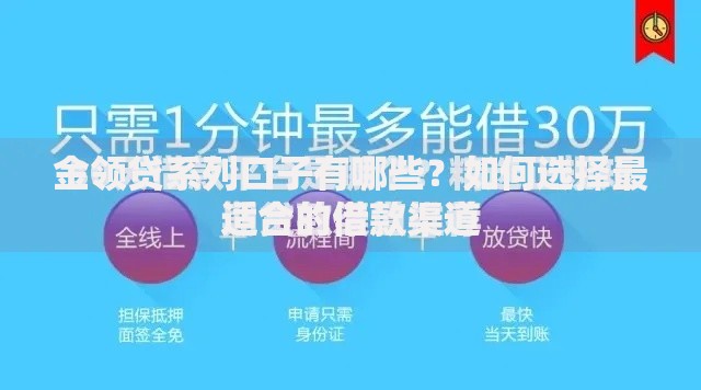 金领贷系列口子有哪些？如何选择最适合的借款渠道