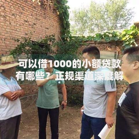 可以借1000的小额贷款有哪些?正规渠道深度解析 可以借1000的小额贷款有哪些?正规渠道深度解析