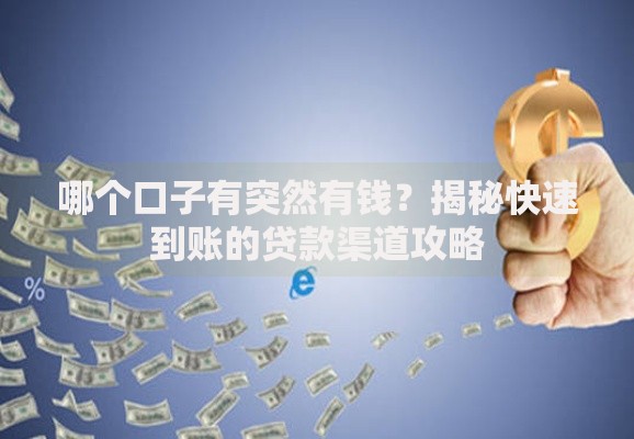 哪个口子有突然有钱？揭秘快速到账的贷款渠道攻略