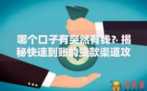 哪个口子有突然有钱？揭秘快速到账的贷款渠道攻略