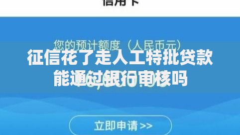 征信花了走人工特批贷款能通过银行审核吗
