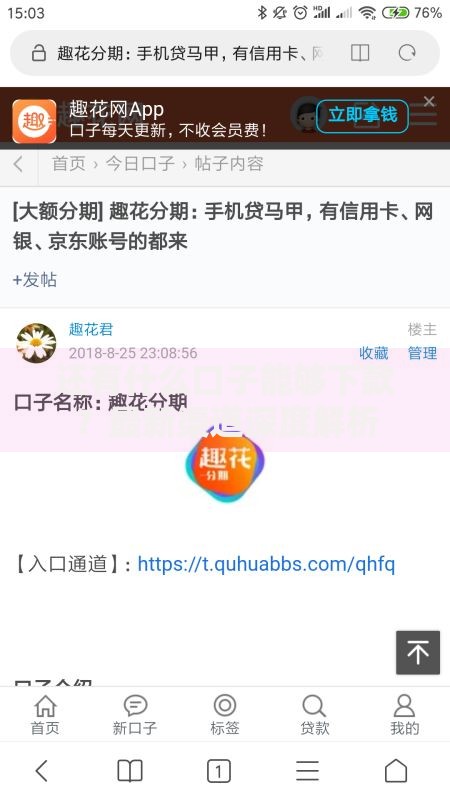 还有什么口子能够下款？最新渠道深度解析