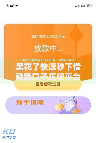 黑花了快速秒下借款新口子正规平台如何选择？