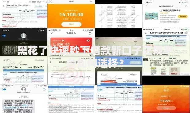 黑花了快速秒下借款新口子正规平台如何选择？