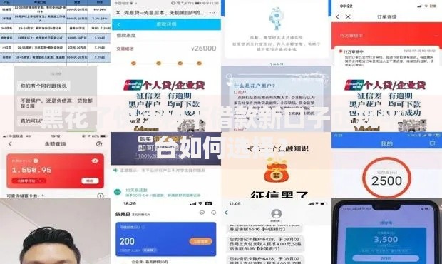 黑花了快速秒下借款新口子正规平台如何选择？