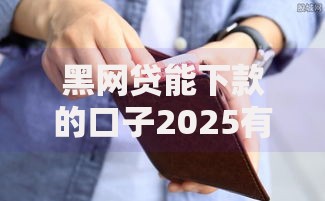 黑网贷能下款的口子2025有哪些风险与应对策略？