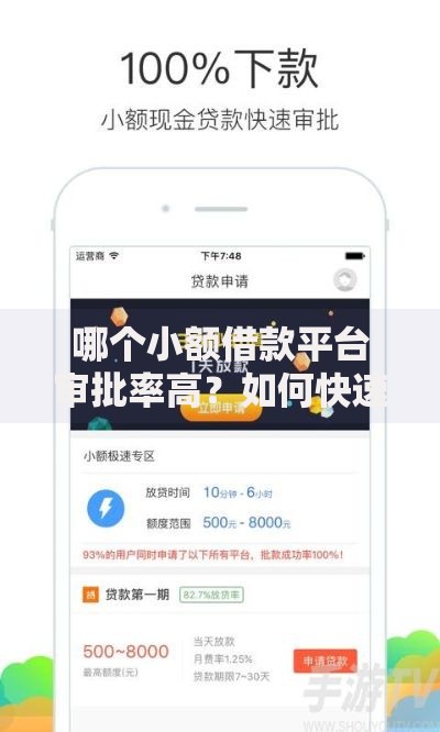 哪个小额借款平台审批率高？如何快速通过审核