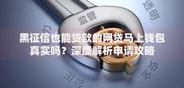 黑征信也能贷款的网贷马上钱包真实吗？深度解析申请攻略