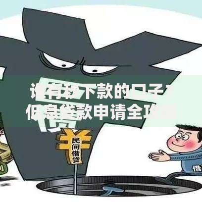 谁有秒下款的口子？低息贷款申请全攻略