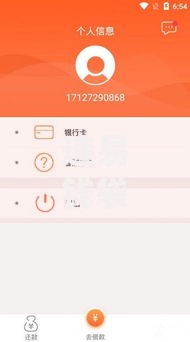 速易钱袋下款是不是很快？真实用户反馈与流程解析