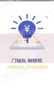 速易钱袋下款是不是很快？真实用户反馈与流程解析