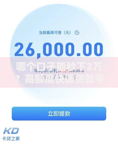 哪个口子能秒下2万？高额度快速贷款平台深度解析
