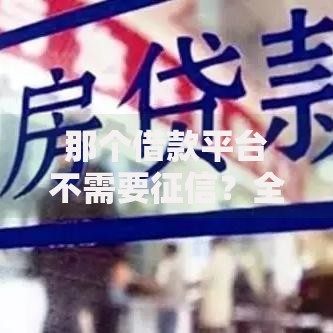 那个借款平台不需要征信？全面解析无征信贷款方案
