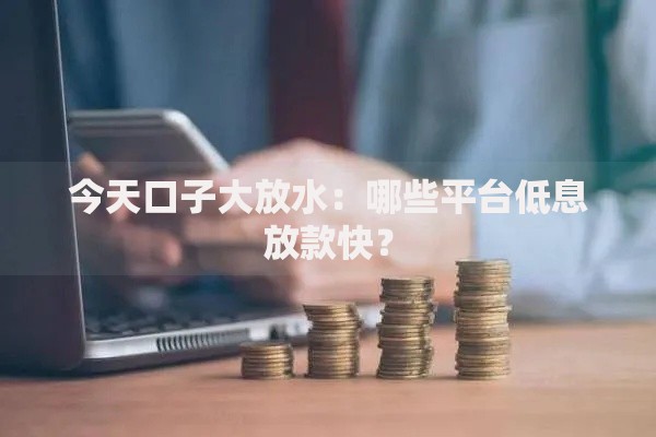今天口子大放水：哪些平台低息放款快？