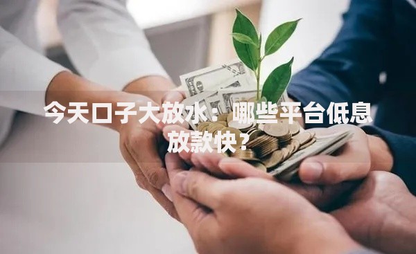今天口子大放水：哪些平台低息放款快？