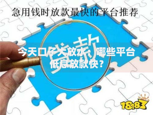 今天口子大放水：哪些平台低息放款快？