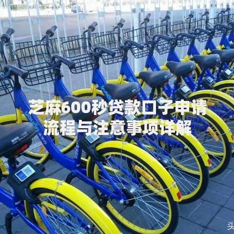 芝麻600秒贷款口子申请流程与注意事项详解