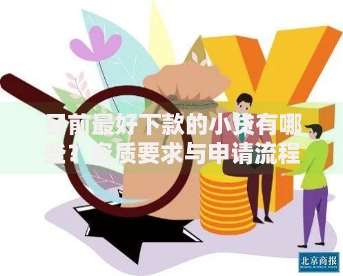 目前最好下款的小贷有哪些？资质要求与申请流程全解析