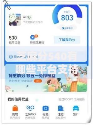 芝麻分540有哪些平台支持自动还款？低分用户贷款指南