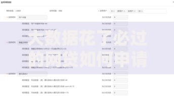大数据花了必过的网贷如何申请？深度解析平台选择技巧